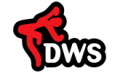 Chr. Gymnastiek- en Dansvereniging DWS